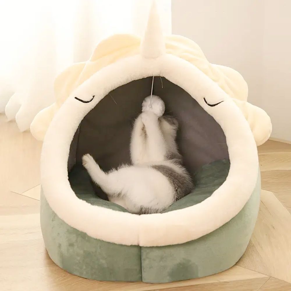 Adorable Dinosaur Pet House with Toy - Pawfection