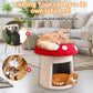 XL Red Mushroom Cat Bed House