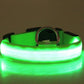 LED Glowing Dog Collar