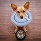 Waterproof Recovery Pet Cone