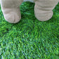 Dog Grass Training Pad