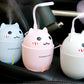Cat Humidifier