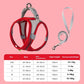 Harness & Leash Set