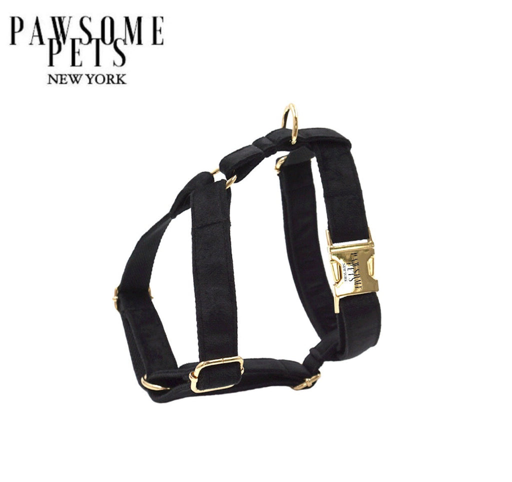 STEP IN HARNESS - BLACK BY PAWESOME PETS - Pawfection