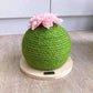 Cactus-Sisal Cat Scratching Post