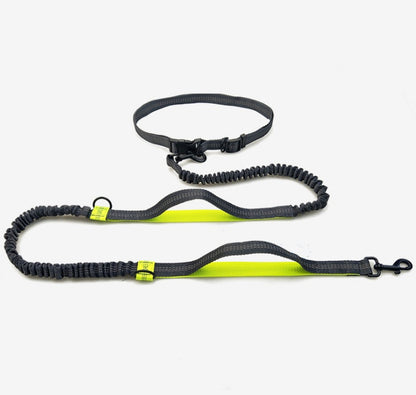 Reflective Bungee Dog Leash