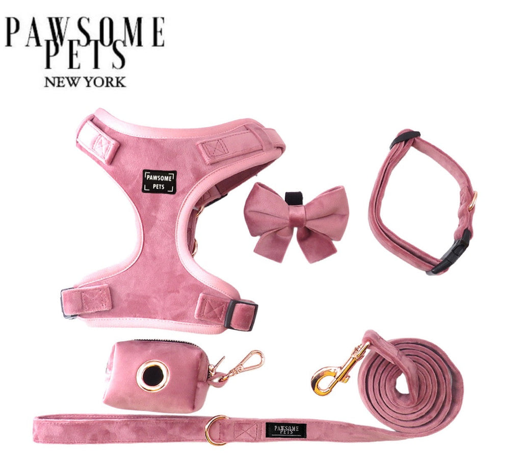 Pawsome Pets - Leash set - Pawfection