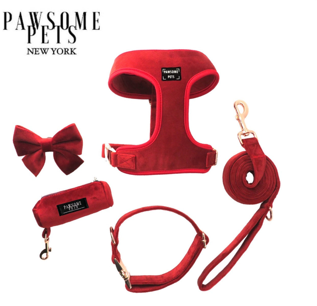 Pawsome Pets - Leash set - Pawfection