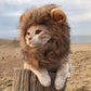Lion Mane Cat Costume