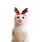 Pet Christmas One Size Hats