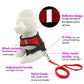 Pet Harness