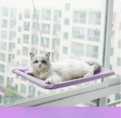 Suspended Bed for Pets - Pawfection