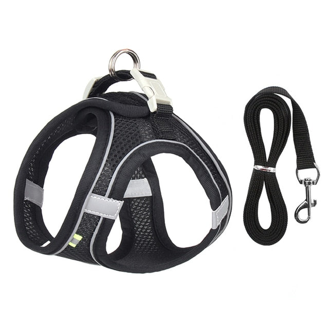 Harness & Leash Set for Small Dogs - Pawfection