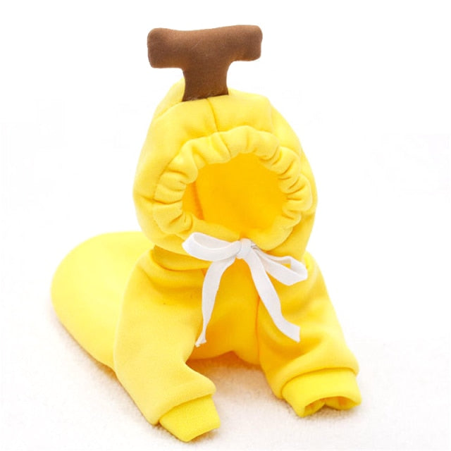 Fruit Pet Coat Hoodies - Pawfection