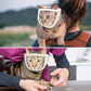 Transparent Breathable Anti-Bite Cat Muzzle