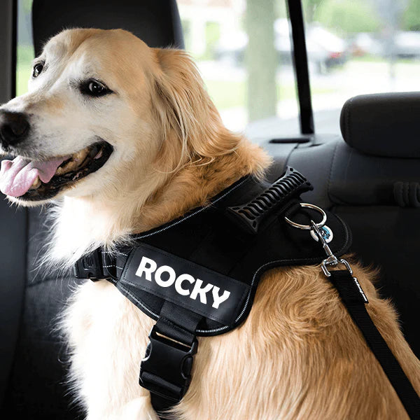 Adjustable Dog Safety Seat Belt - Pawfection