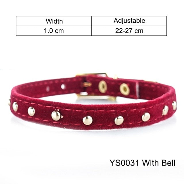 Collar For Small Cats & Dogs - Pawfection