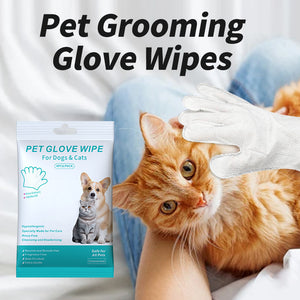 CleanPaws Pro Gloves