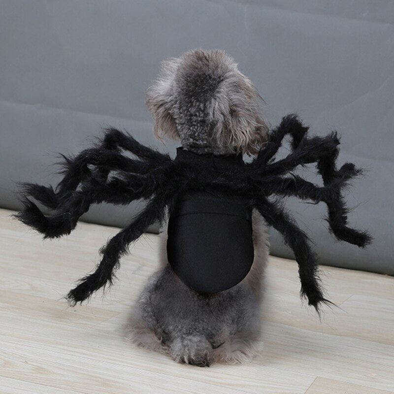 Spider Costume for Pets - Pawfection