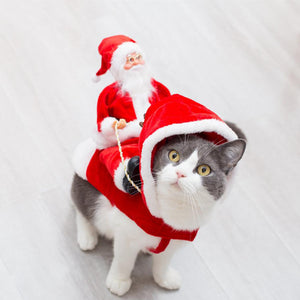 Jolly Pet Christmas Costumes