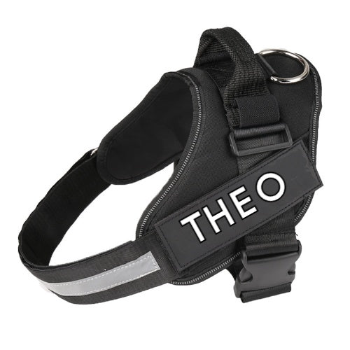 Custom Name Safety Dog Harness
