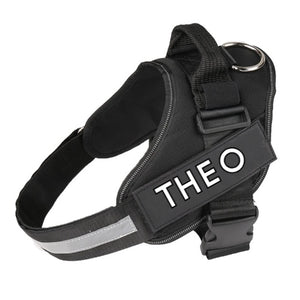 Custom Name Safety Dog Harness