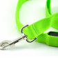 Rechargeable LED Pet Leash