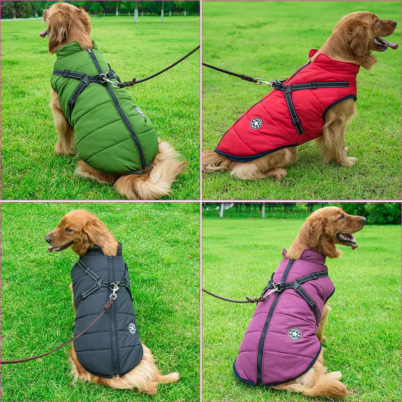Jacket Harness