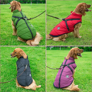 Jacket Harness