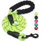 PawGrip Pro Leash