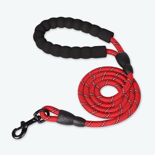 Premium Quality Nylon Leash - Pawfection