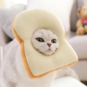 Funny Cat Toast & Avocado Collar