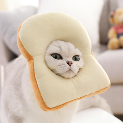 Funny Cat Toast & Avocado Collar