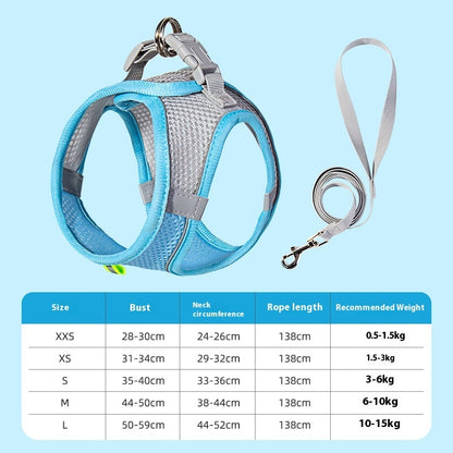 Harness & Leash Set