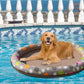 Inflatable Swimming Raft Pet Bed