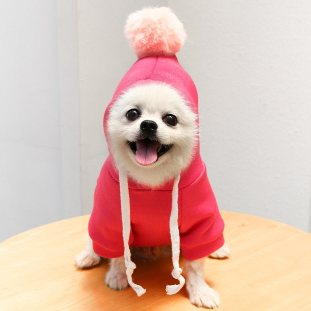 Fruit Pet Coat Hoodies - Pawfection