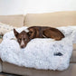 Dog Bed Cushion