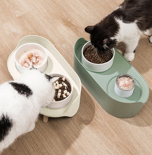 Elevated Pet Double Bowls