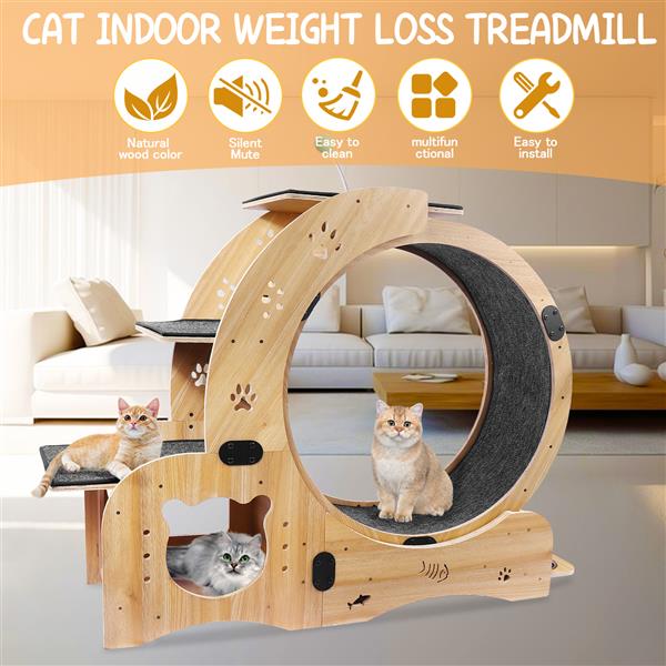 Indoor Cat Exercise Wheel