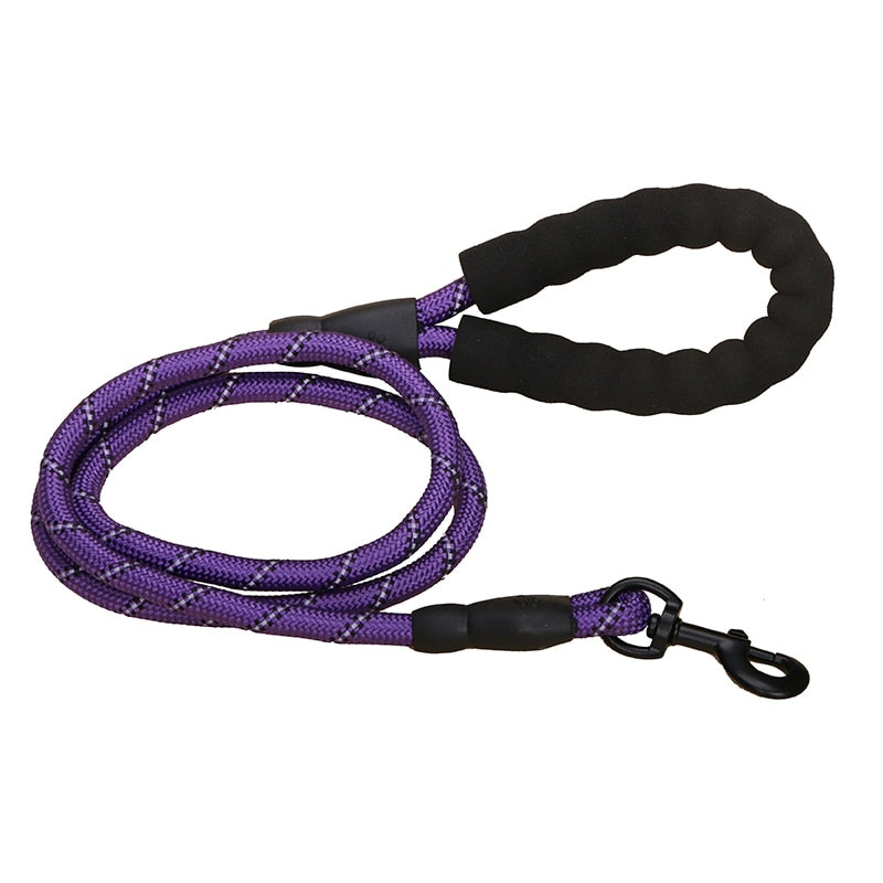 Premium Quality Nylon Leash - Pawfection