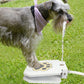 Outdoor Dog Water Fountain