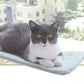 Suction Cup Cat Hammock Balcony Cat Nest