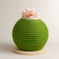 Cactus-Sisal Cat Scratching Post