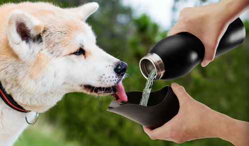 Mobile Dog Gear 25 Oz Water Bottle - Pawfection