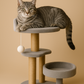 Multi-Level Cat Tree Tower