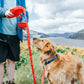 Hydra Dog Leash & Water Bottle Holder