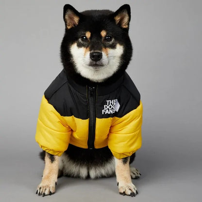 Luxury Winter Pet Jacket