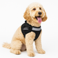 Safety Dog Harness