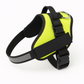 Safety Dog Harness