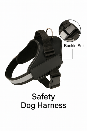 Safety Pet Harness Buckle